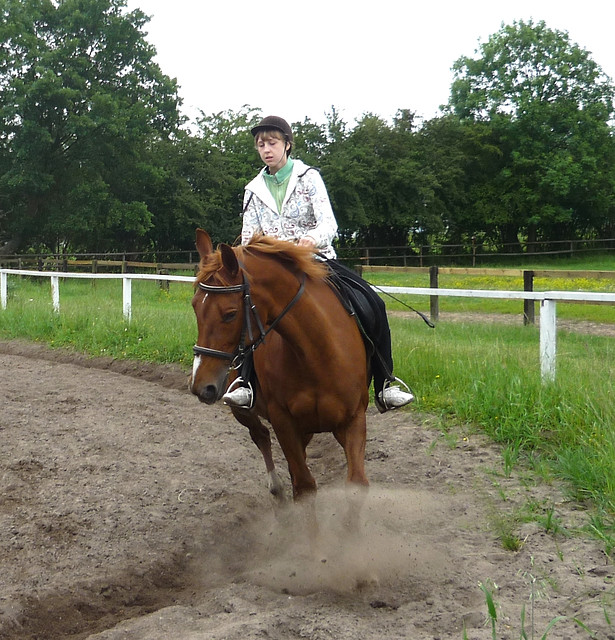 Galop na Gamie :**