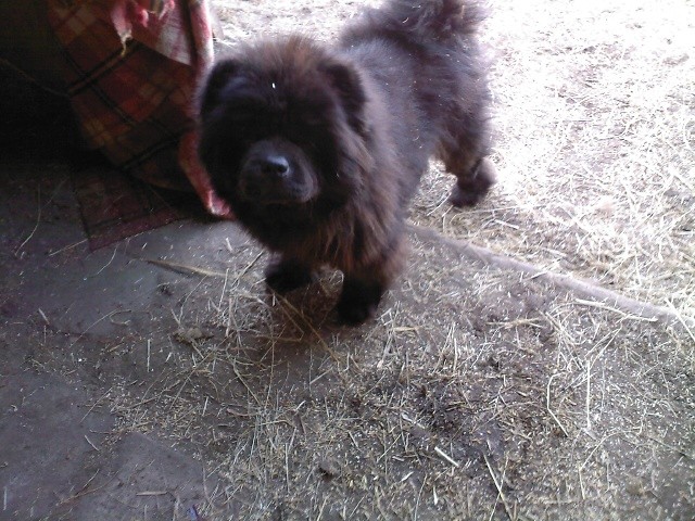 Moli :(((