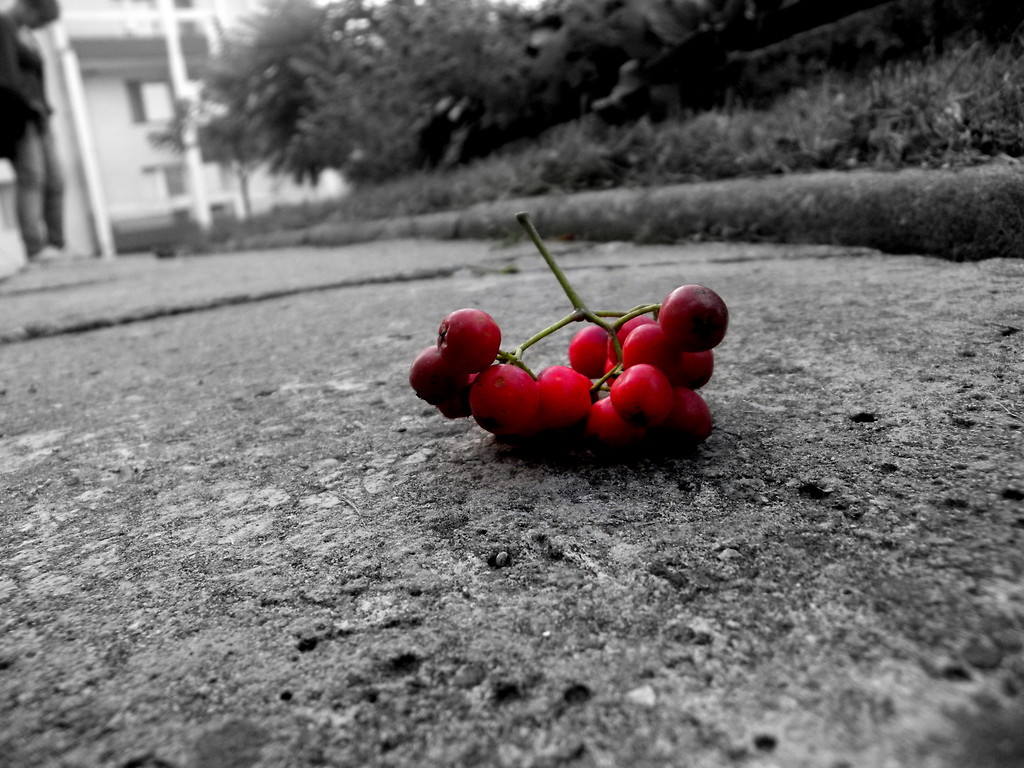 redness.