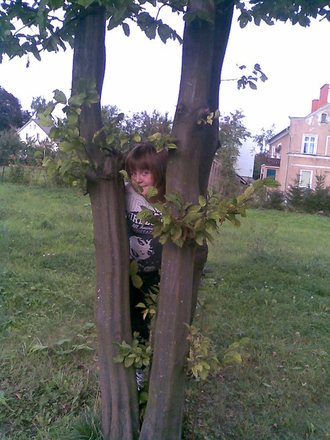 Midzy drzewamii :)