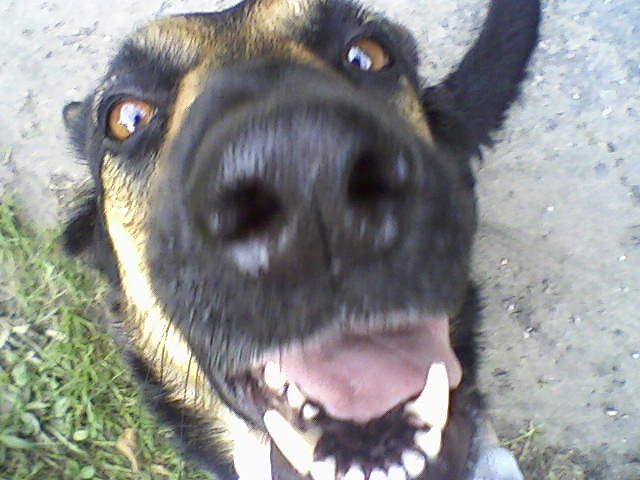 Moja Mordka ^^