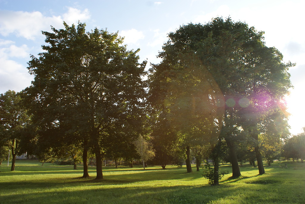 Park.