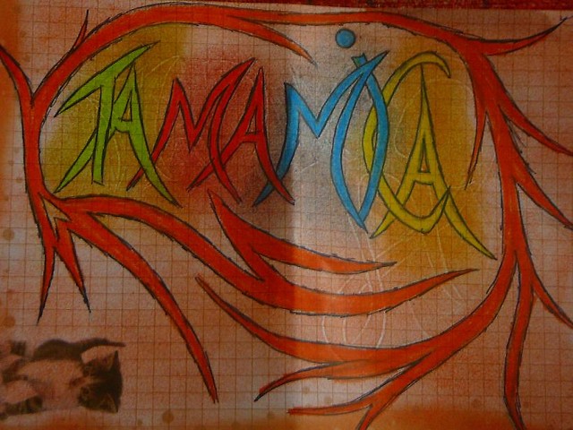 o_O TaMaMiCa xD...