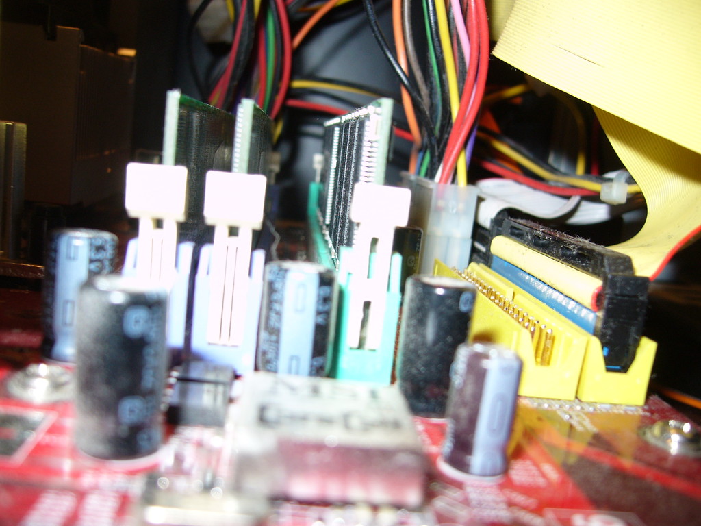 wiatowy Dzie Programisty ;D