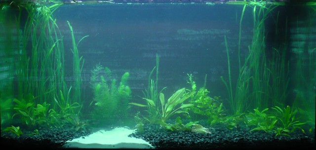 200 l