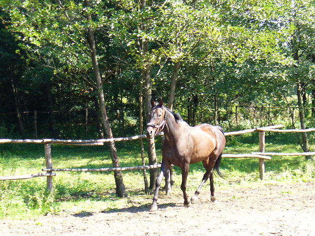 Andaluzja.