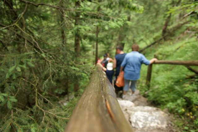 Porcz