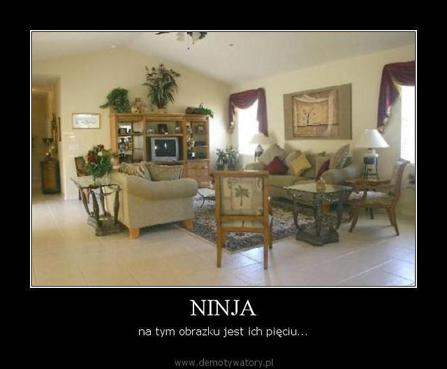 Ryjwki.