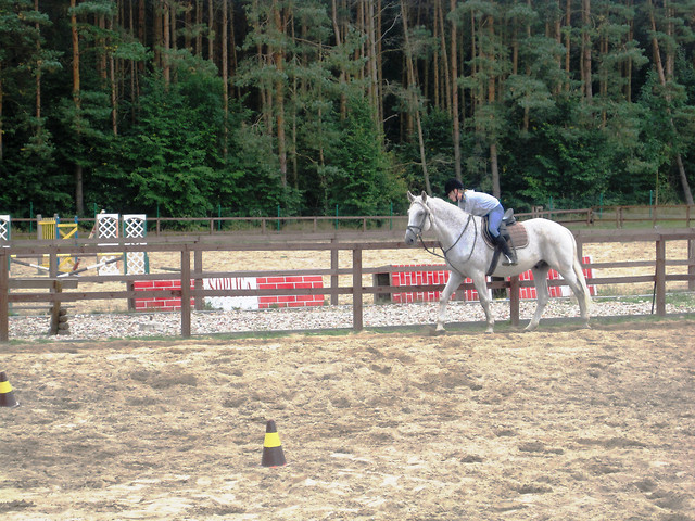 Bolu :***