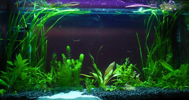200 l