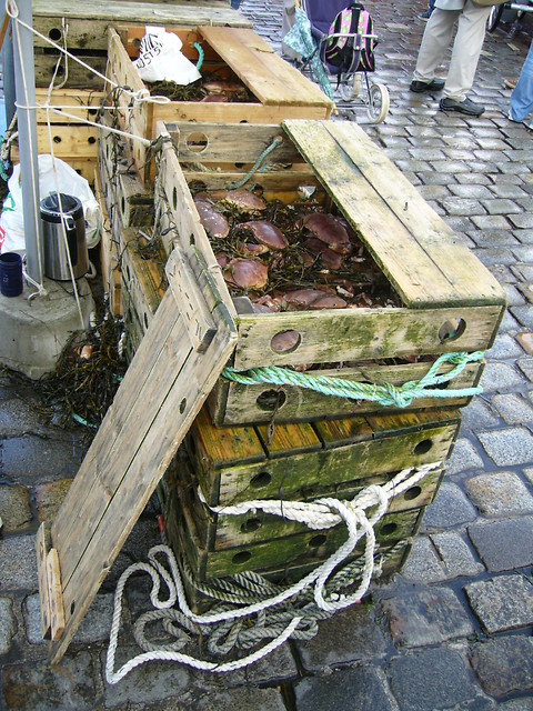 Torget, Bergen