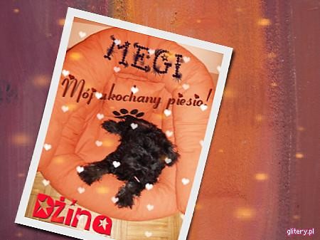 Megi