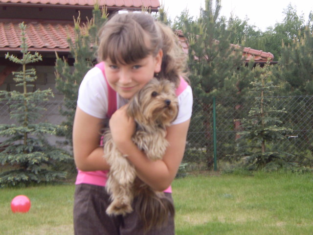Wam xdd