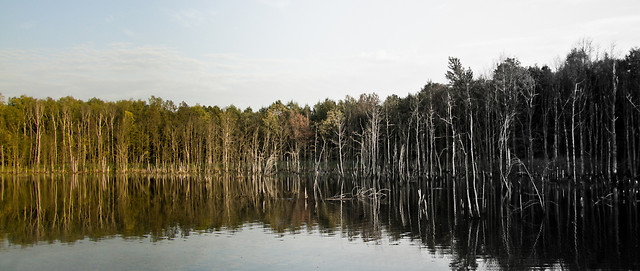 Makoszowskie stawy.