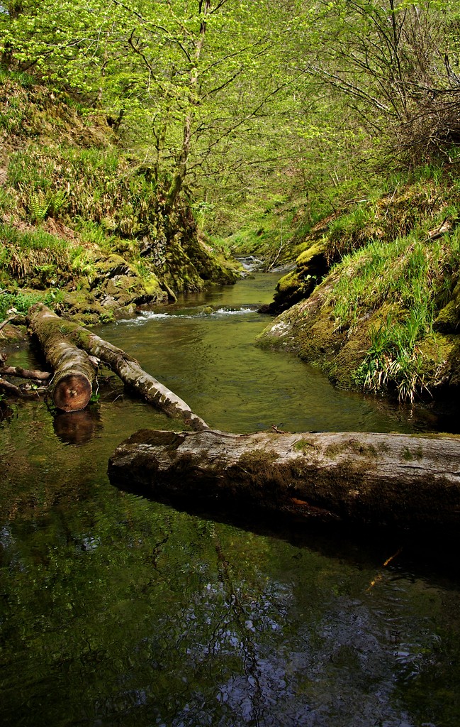 Dartmoor