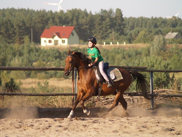Galop .. 