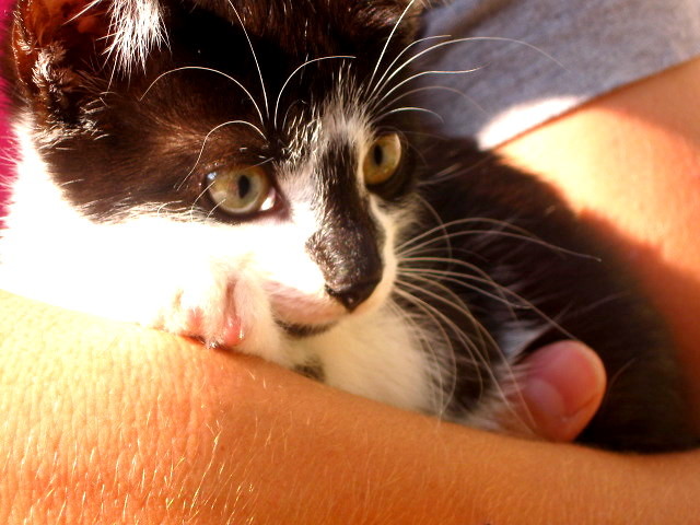 Kropcia :D