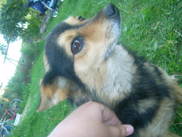 Bursztyn ;***