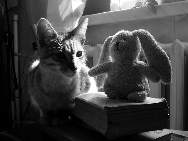 amusing yourself.. !