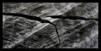 Chronicle XXIX