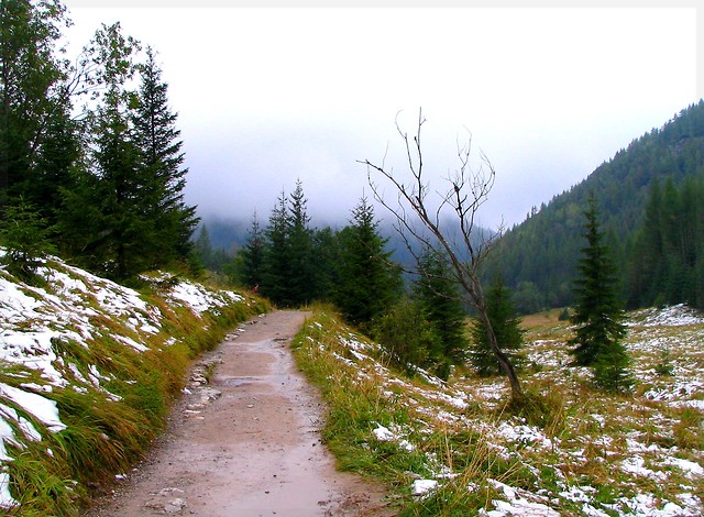 Dolina Jaworzynki(wrzesie 2008)