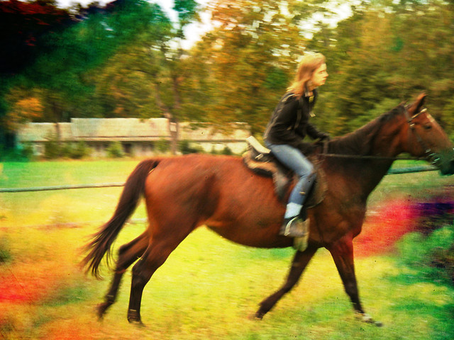 Chciaa galop?Masz galop! :P 