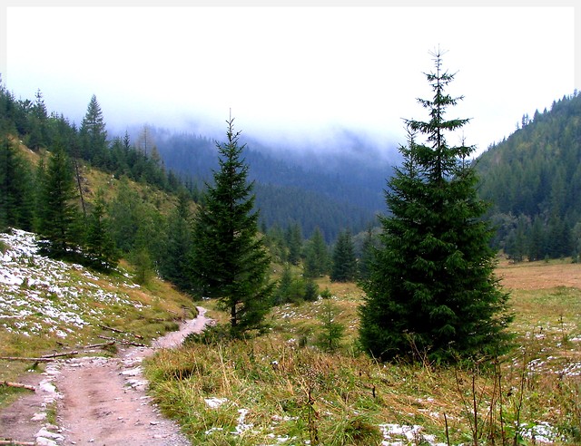 Tatry - Dolina Jaworzynki