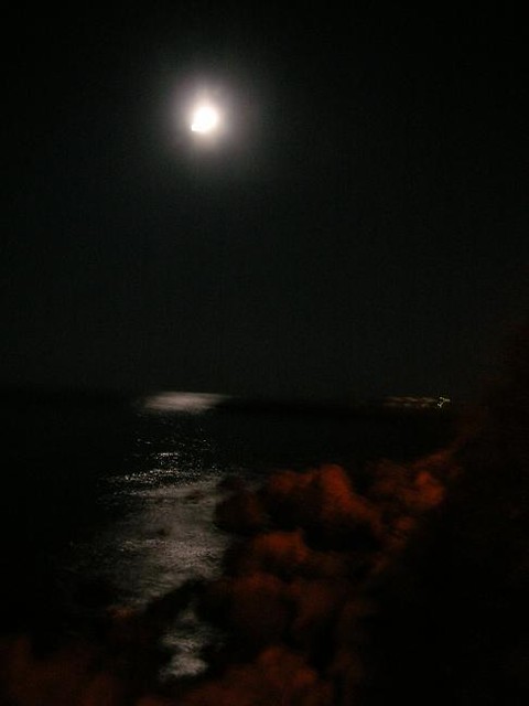 Zaczarowana noc...