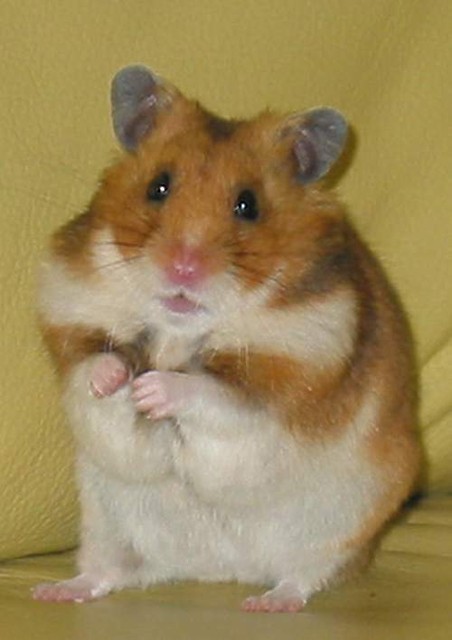 hi~~hi~~