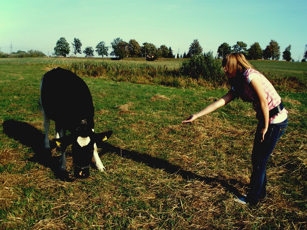 muuuuu ; *