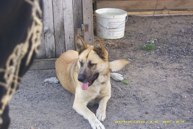 Masza :) 