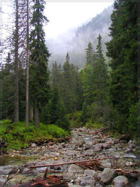 Tatry - Mengusovsk Dolina