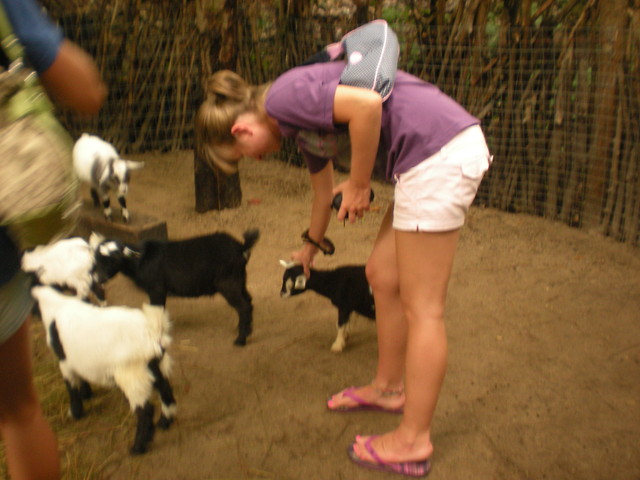 John Ball Zoo