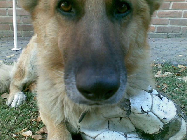 Najlepszy bramkarz wiata :P