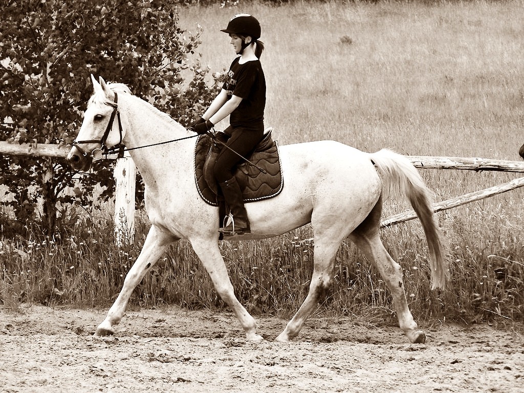 Tenor.