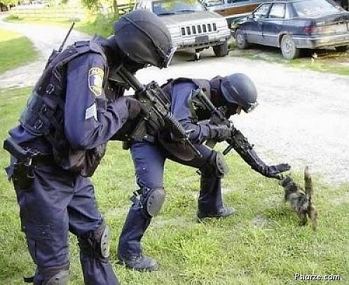 POLICJA Xd