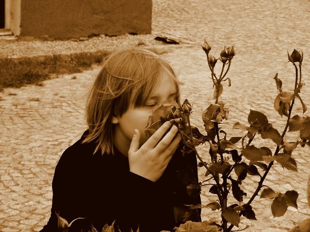 wonham kwiata. ;*