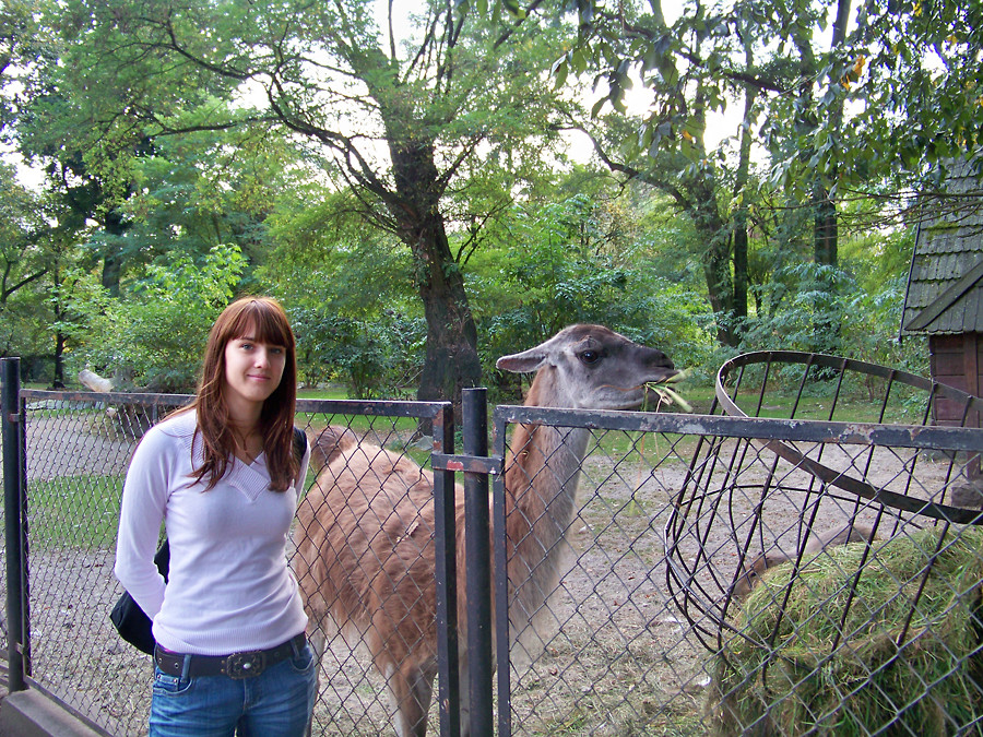 Ola i Lama