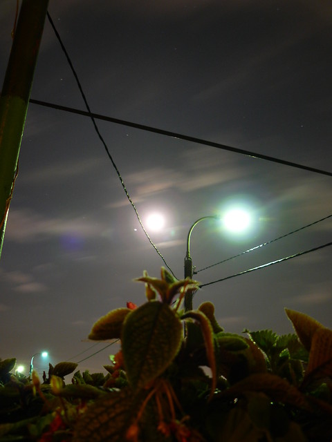 Sky in the night...