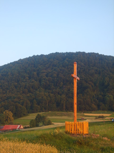 W szczerym polu...