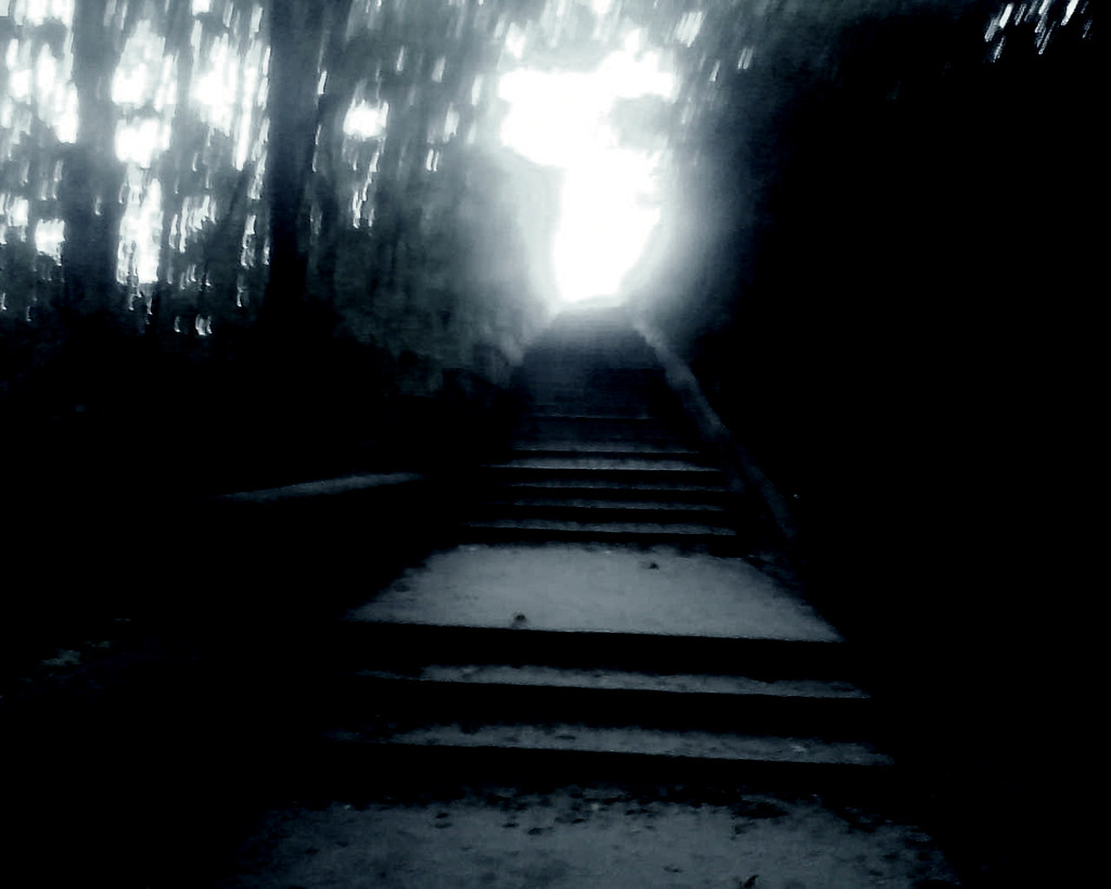 Searching a light!