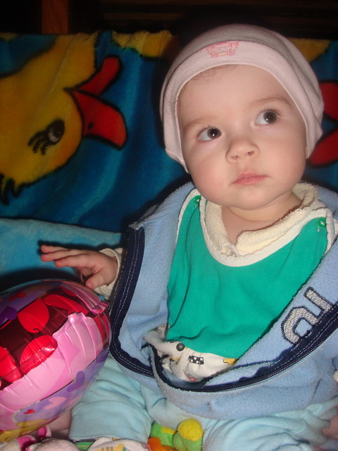 [83]  Aniaa;*