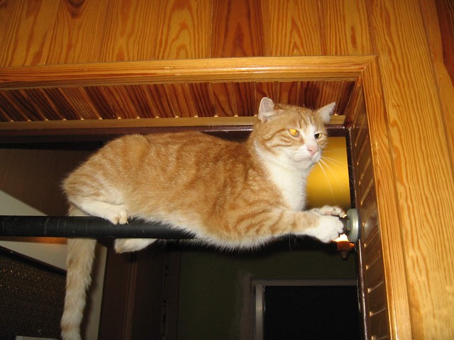 jakob