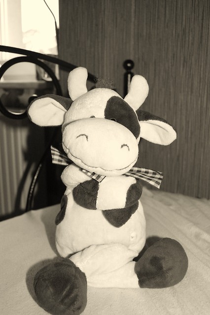 Krowa.