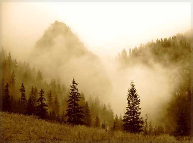 Tatry - Hala Pisana