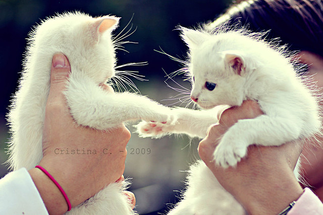 Gimme Five. 