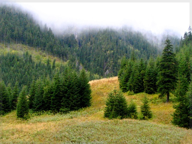 Tatry - Hala Pisana
