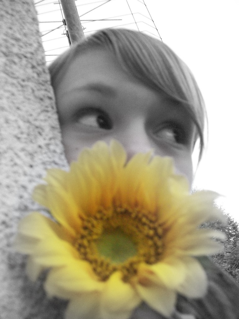moje soce x3