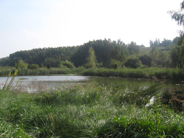 Rajdzik .