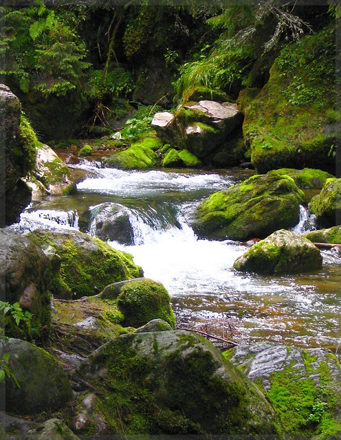 Dolina Kocieliska